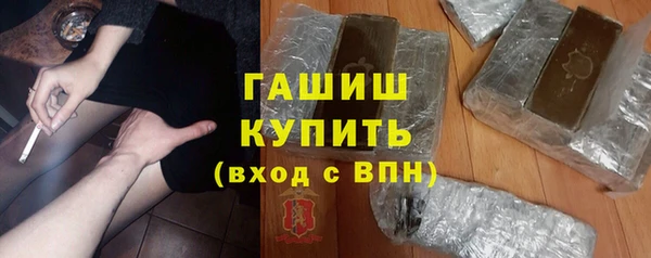 гидра Горняк
